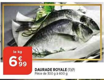 Bi1 Daurade royale offre