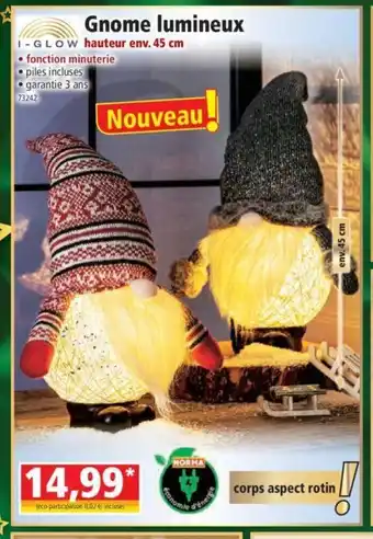 Gnome Lumineux