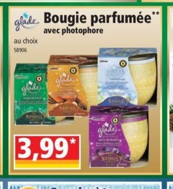 Norma Bougie Parfumee offre