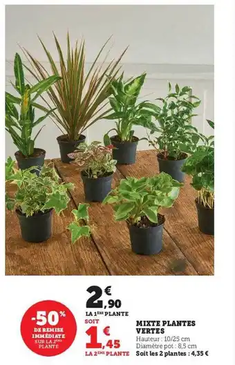 Hyper U Mixte plantes vertes offre