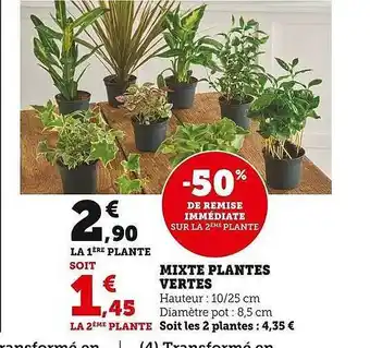 Super U Mixte plantes vertes offre