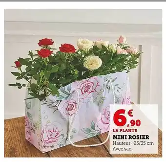 Super U Mini rosier offre