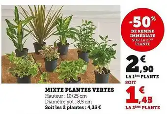 U Express Mixte plantes vertes offre