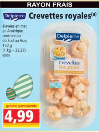 Crevette royales