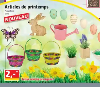 Norma Articles de printemps offre