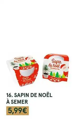 Monoprix Sapin de noël à semer offre