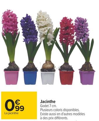 Carrefour Jacinthe offre
