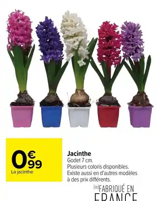 Carrefour Jacinthe offre