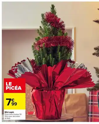 Carrefour Mini Sapin offre
