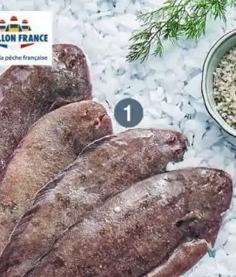 Cora x Carrefour Sole offre