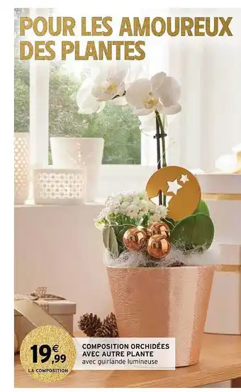 Intermarché Composition orchidées avec autre plante offre