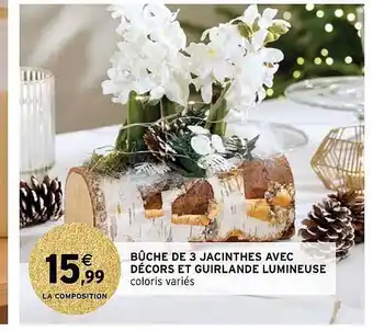 Intermarché Bûche de 3 jacinthes avec décors et guirlande lumineuse offre