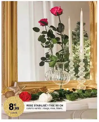 Intermarché Rose stabilisé 1 tige 50 cm offre