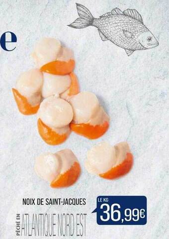 Noix de saint-jacques