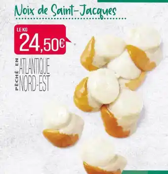 Match Noix De Saint-jacques offre