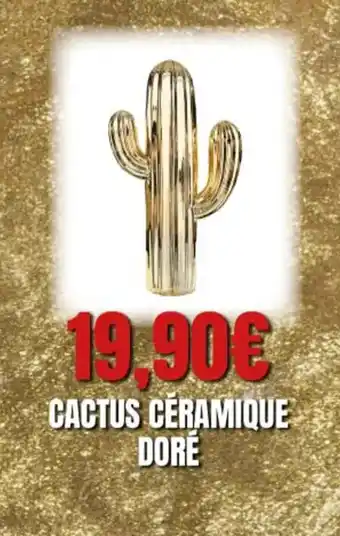 E.Leclerc Cactus Ceramique Dore offre
