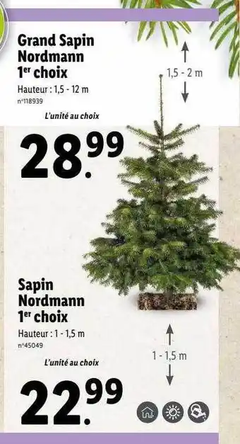 Lidl Grand sapin nordmann 1er choix, sapin nordmann 1er choix offre