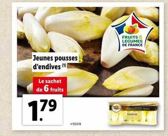 Lidl Jeunes pousses d'endives offre