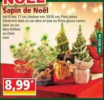 Norma Sapin de noël offre