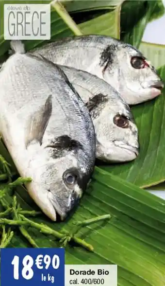 Migros Dorade bio offre
