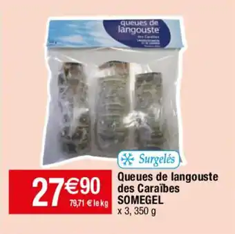 Queues de langouste des caraïbes SOMEGEL