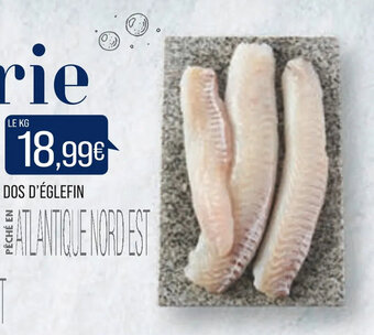 Match Dos d'églefin offre