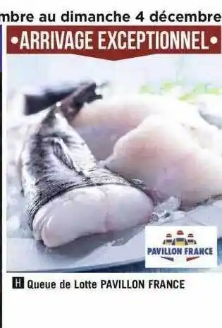 Géant Casino Queue de lotte pavillon france offre