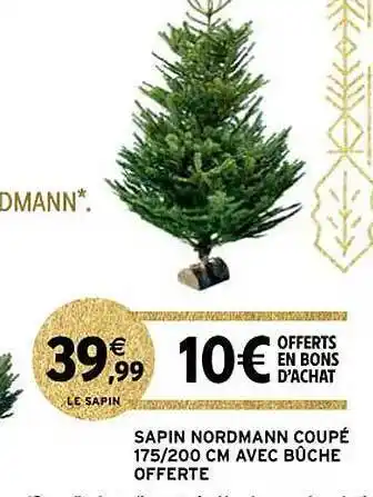 Sapin nordmann coupé avec bûche offerte