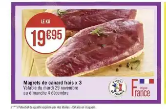 Magrets de canard frais x 3