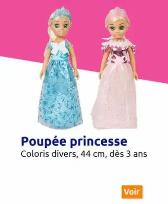 Action Poupée princesse offre