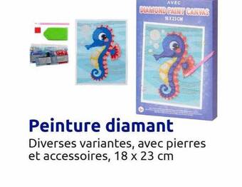 Action Peinture diamant offre
