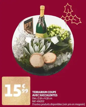 Auchan Terrarium coupe avec succulentes offre