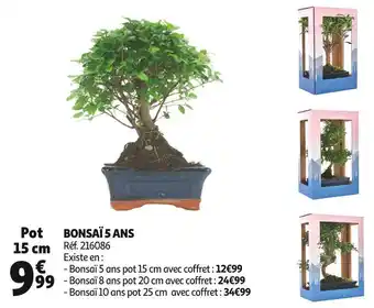 Auchan Bonsaï 5 ans offre