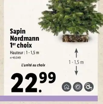 Lidl Sapin Normann 1Er Choix offre
