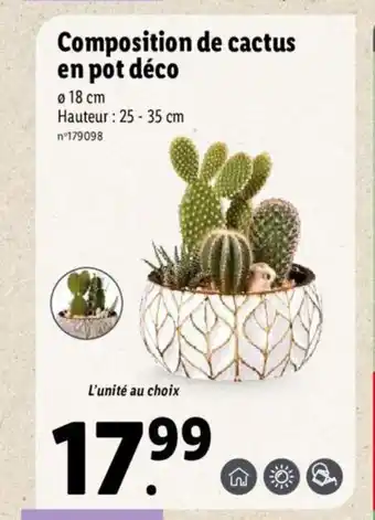 Lidl Composition De Cactus En Pot Deco offre