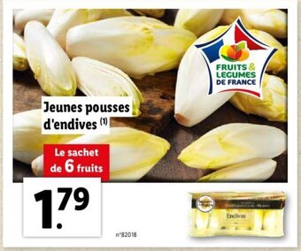 Lidl Jeunes Pousses D'Endives offre