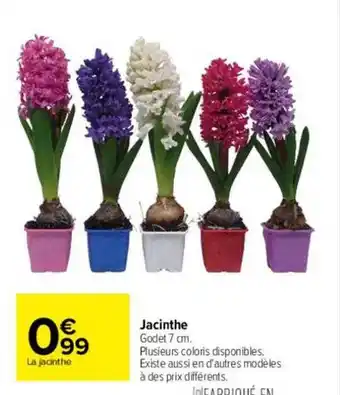 Carrefour Jacinthe offre