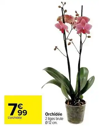 Carrefour Orchidée offre