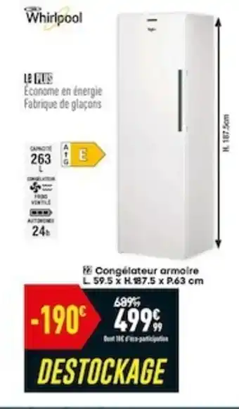 Congélateur armaire