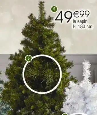 Cora x Carrefour Sapin de noël offre