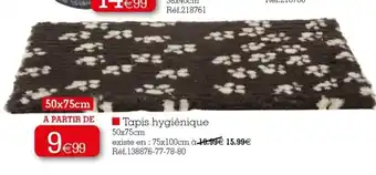 Kandy Tapis Hygienique offre