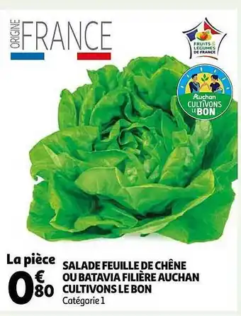 Auchan Salade feuille de chêne ou batavia filière auchan cultivons le bon offre