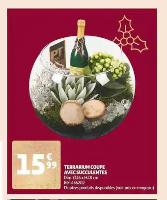 Auchan Terrarium coupe avec succulentes offre