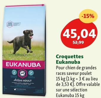 Maxi Zoo Eukanuba croquettes offre
