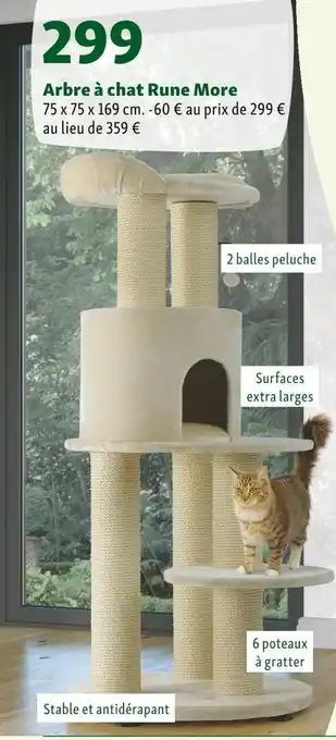 Maxi Zoo Arbre à chat rune more offre