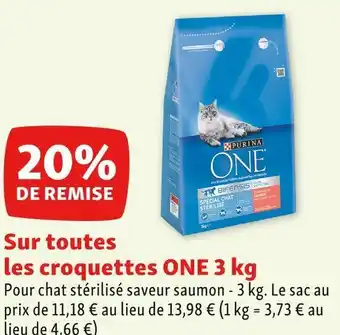 Maxi Zoo One 20% de remise sur toutes les croquettes 3 kg offre