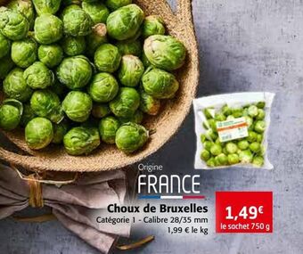 Colruyt Choux de bruxelles offre