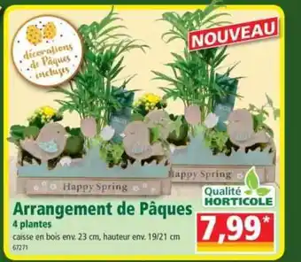 Norma Arrangement De Pâques 4 Plantes offre