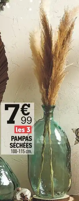 Centrakor Pampas séchées offre
