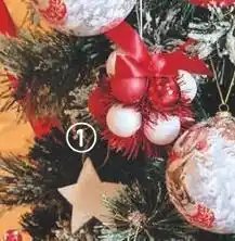 Centrakor La fleur de noël offre